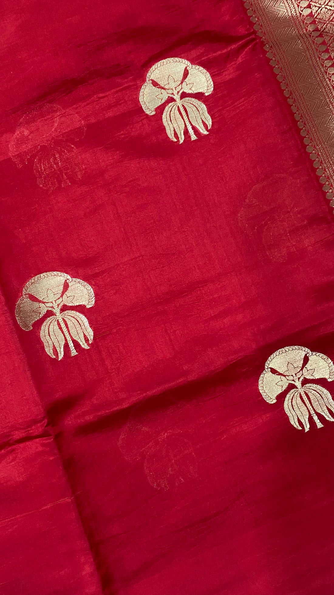 PURE MANGO SILK HANDLOOM BANARASI SAREE